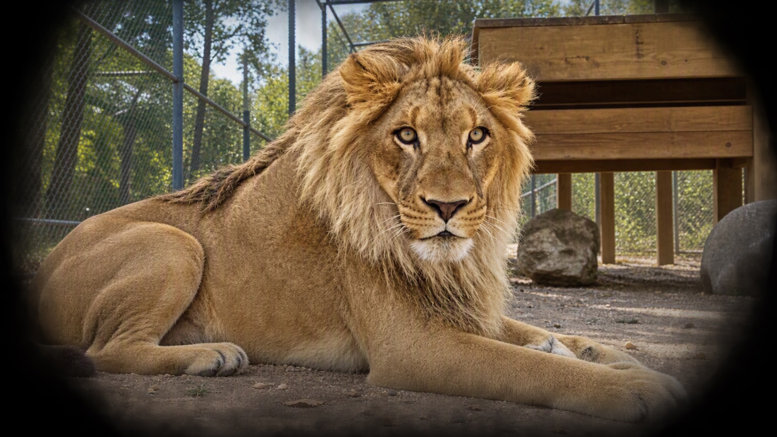 Moorpark College Teaching Zoo